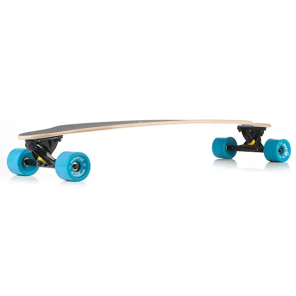 Longboard Madrid Weezer photo 2015