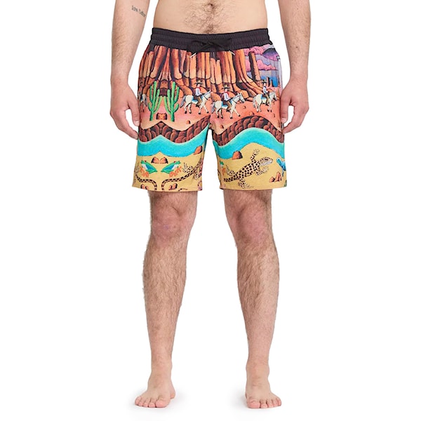 Plavky Volcom FA Mickey Mason Trunk 17 multi 2026