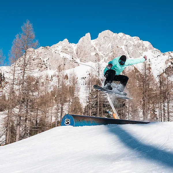 Snowboard Gravity Symbol 2022