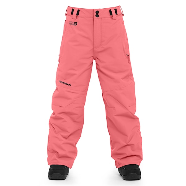 Snowboard Pants Horsefeathers Spire II Youth tea rose 2024
