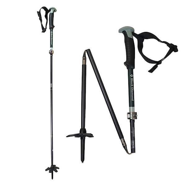Teleskopické palice Black Diamond BD Compactor Poles forest 2024