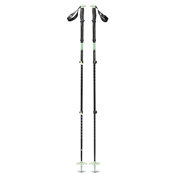 Teleskopické hůlky Black Diamond Expedition 3P Ski Poles desert sage 2026