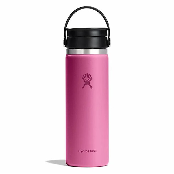 Thermos Hydro Flask 20 oz Wide Flex Sip Lid reef
