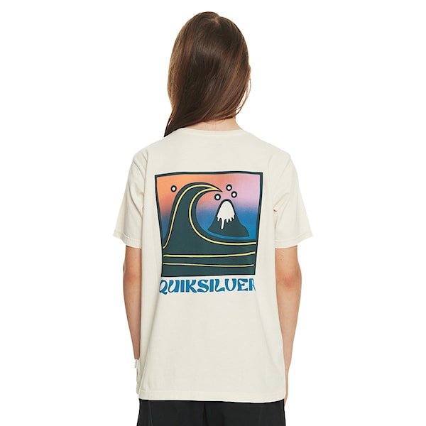 T-shirt Quiksilver QS Bubble Stamp SS Youth birch 2023