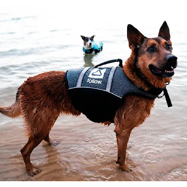Kamizelka wakeboardowa Follow Dog Floating Aid black 2021