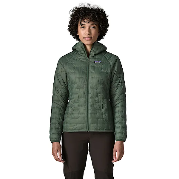 Winter Jacket Patagonia W's Micro Puff Hoody canopy green 2027