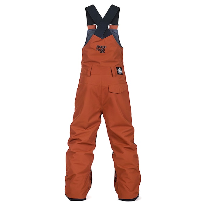 Nohavice na snowboard Horsefeathers Medler Youth brick 2020