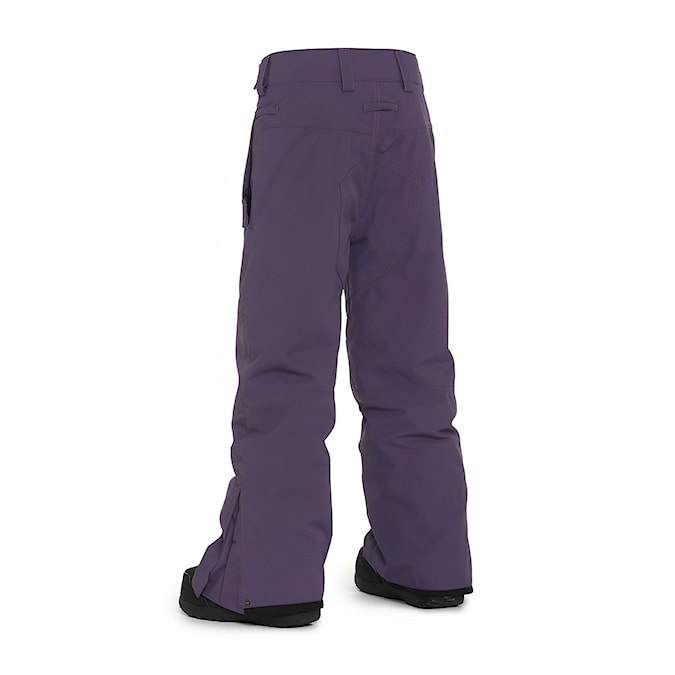 Snowboard Pants Horsefeathers Orca Youth Pants grape 2025