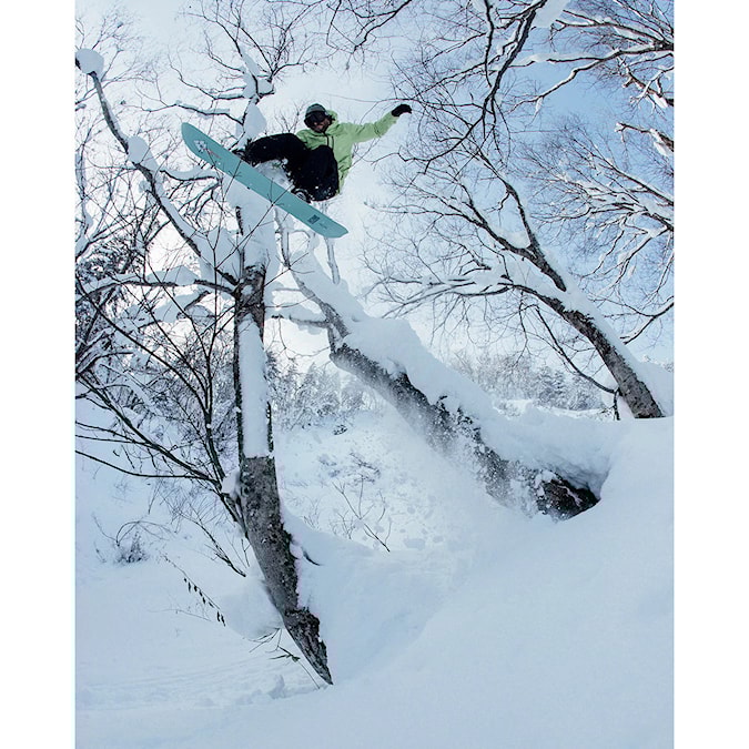 Snowboard Rome Stale Fish 2026