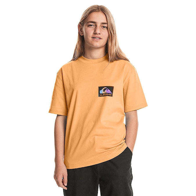 T-shirt Quiksilver Back Flash Ss Youth tangerine 2024