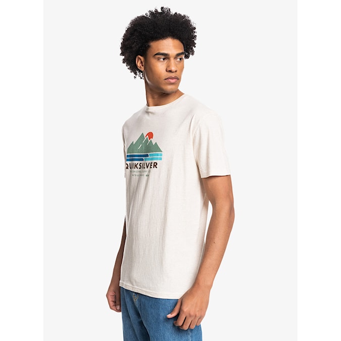 T-shirt Quiksilver Scenic Recovery Ss birch heather 2022
