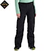 Snowboard Pants Burton [ak] Wms Summit GORE-TEX 2L Insulated Pant true black 2026