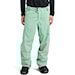 Snowboard Pants Burton Reserve Insulated Pant soft sage 2026