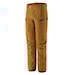 Patagonia M's Stormstride Pants raptor brown