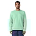 Bluza Patagonia Fitz Roy Icon Uprisal Crew Sweatshirt rinsed green 2025