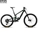Santa Cruz Bronson C 90 MX matte poblano green