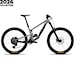 Santa Cruz Megatower C 70 29" gloss silver