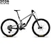 Santa Cruz Megatower C 90 29" gloss silver