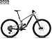 Santa Cruz Megatower C 90 29" gloss silver