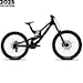Santa Cruz V10 CC DH S 29" gloss black sparkle
