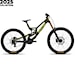 Santa Cruz V10 CC MX Dh X01 gloss kelp green