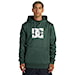 Technical Hoodie DC Snowstar sycamore 2024