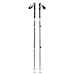 Black Diamond Expedition 3P Ski Poles desert sage