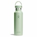 Thermos Hydro Flask 21 Oz Standard Flex Cap aloe