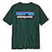 Tričko Patagonia M's P-6 Logo Responsibili-Tee cascade green 2025