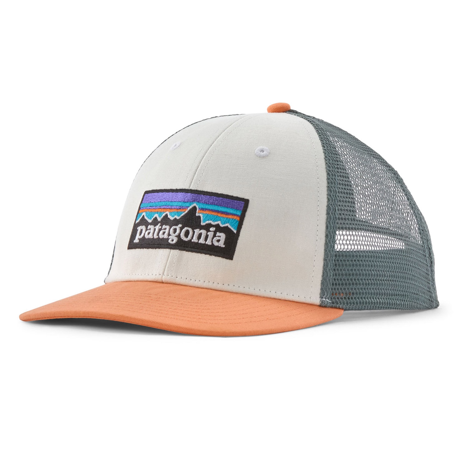 Patagonia P-6 Logo Trucker Hat